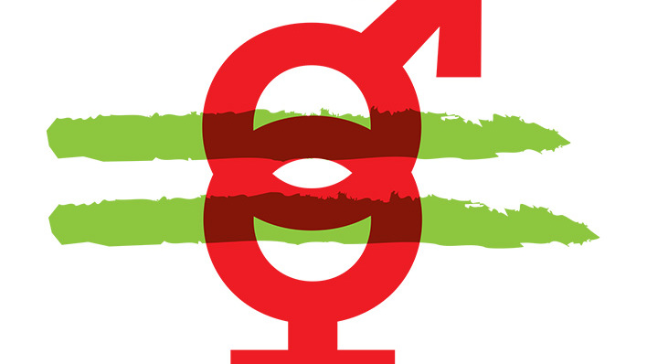 Rapport égalité hommes-femmes 2020
