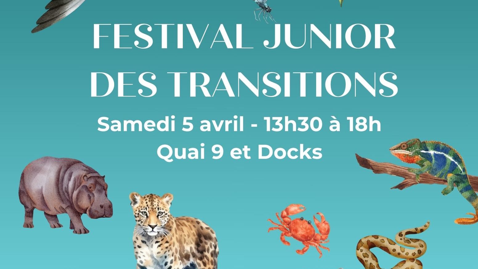 affiche festival junior des transitions