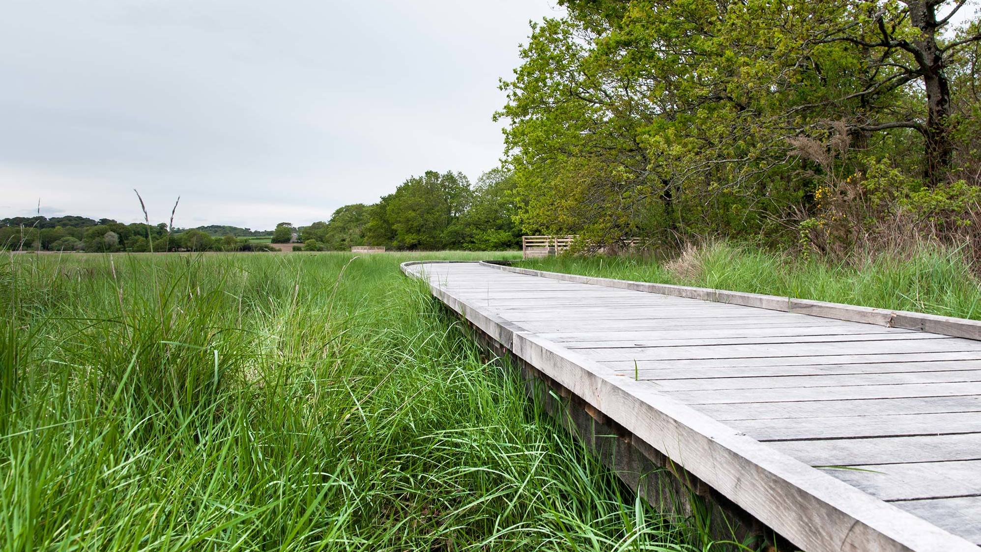 Sentier platelage La Goden Lanester