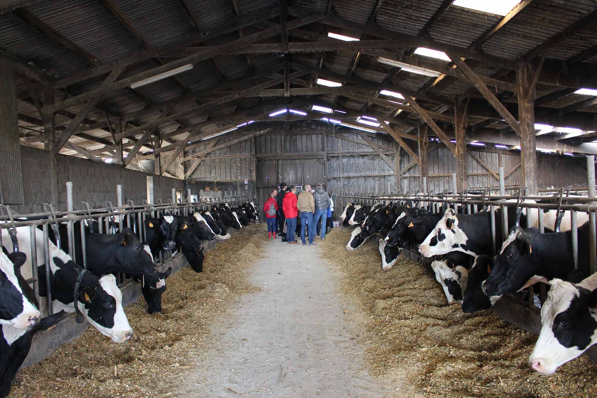 Elus en visite dans une exploitation agricole