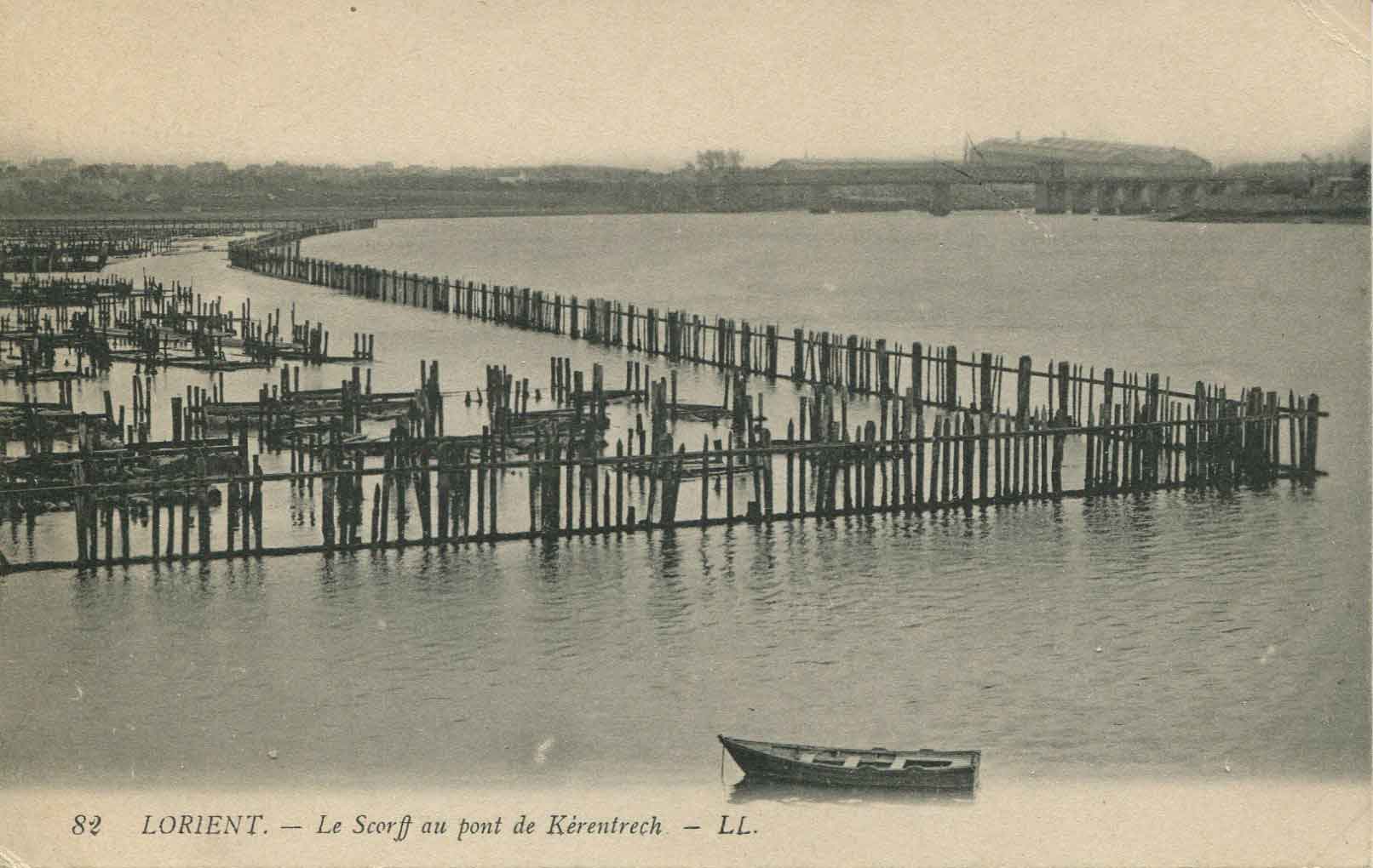 Carte postale - Vue du parc à bois