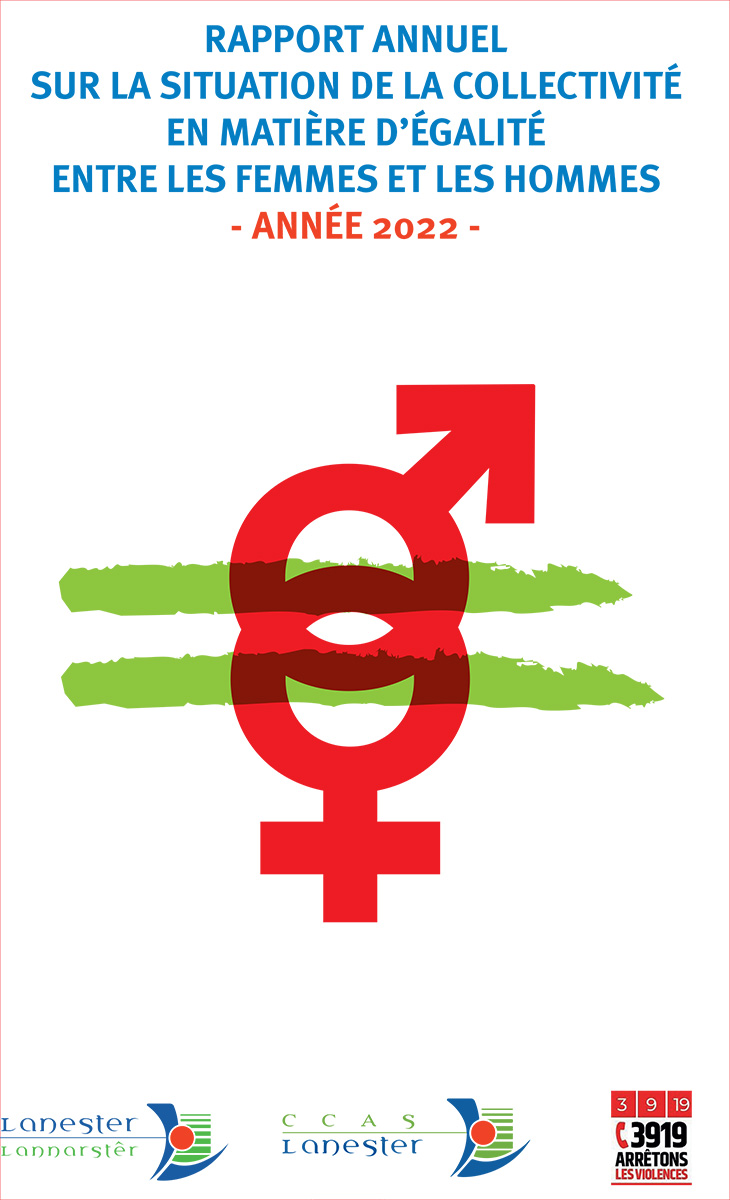 Rapport égalité